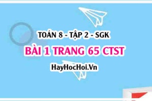 Bài 1 trang 65 Toán 8 Tập 2 Chân trời sáng tạo
